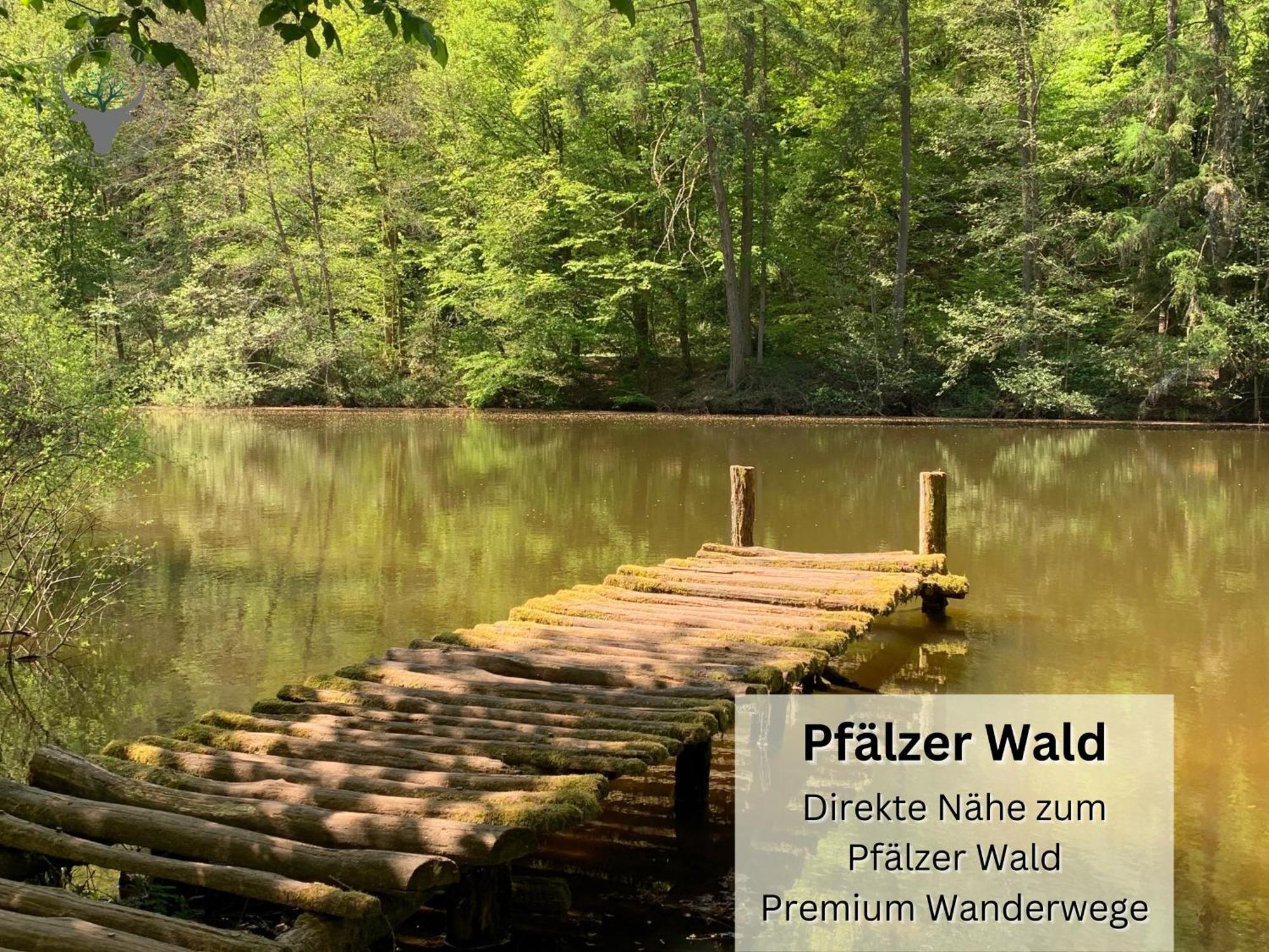 Stierpartment Am Pfaelzer Wald Naehe Outlet Center Zweibruecken Daire Pirmasens Dış mekan fotoğraf