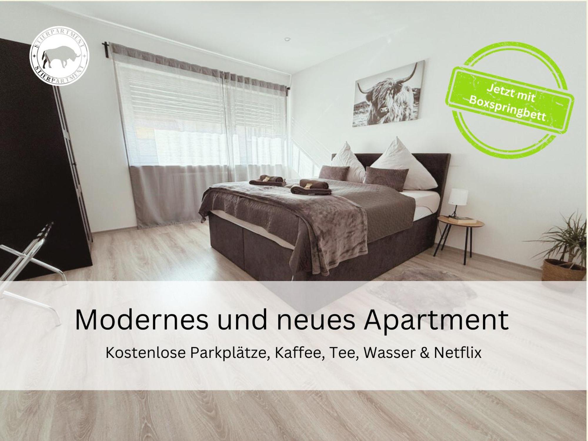 Stierpartment Am Pfaelzer Wald Naehe Outlet Center Zweibruecken Daire Pirmasens Dış mekan fotoğraf